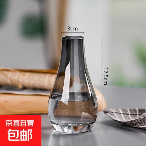 北欧风简约玻璃花瓶网红迷你精致水培鲜花绿植插花瓶桌面客厅摆件 迷